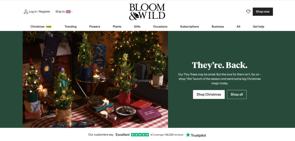 Bloom & Wild copy example