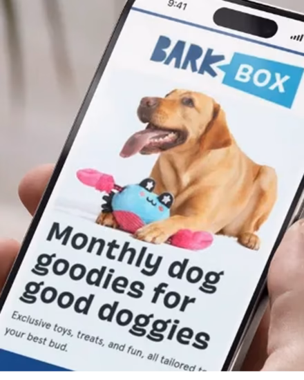 Barkbox copy