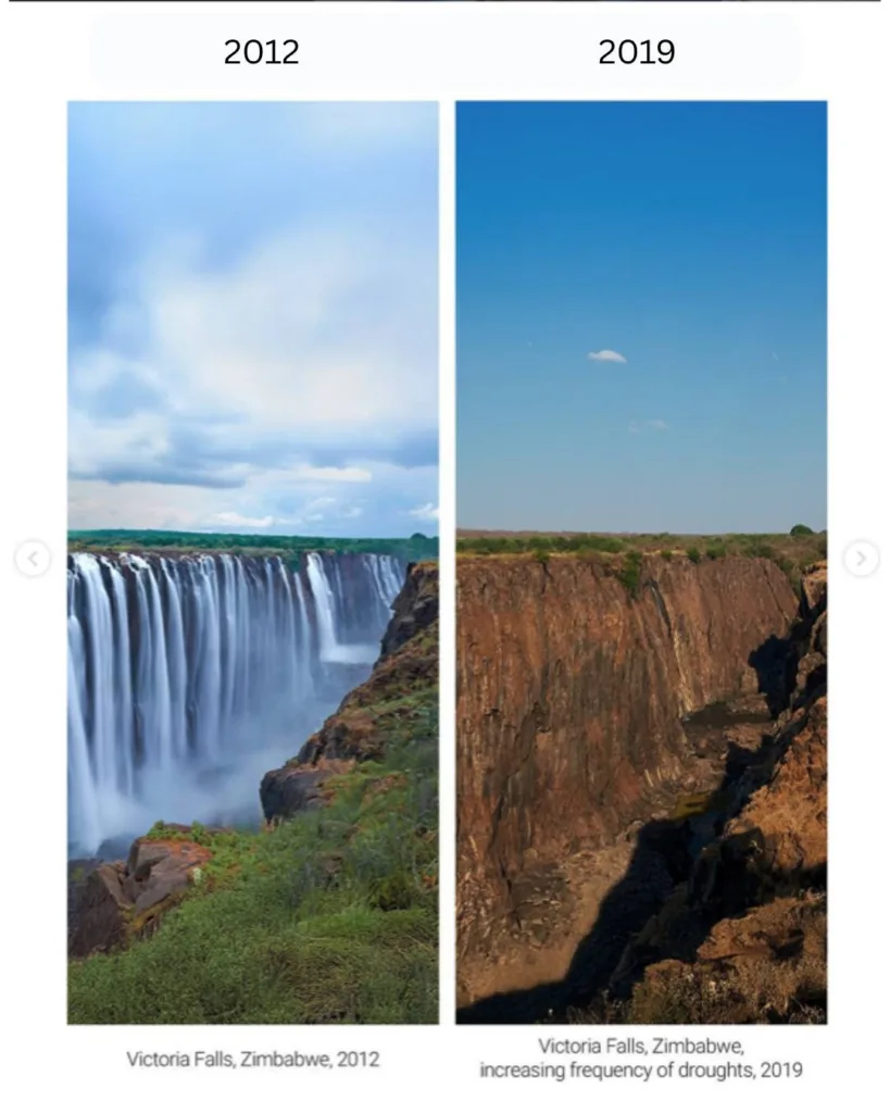 Greenpeace example without iPhone copy