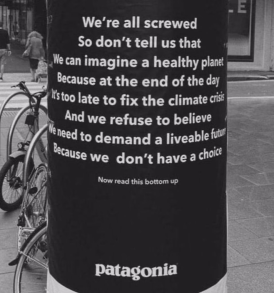 Patagonia’s “how did they think of this?!” ad